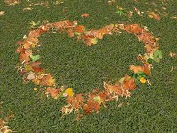 fallen leaves image